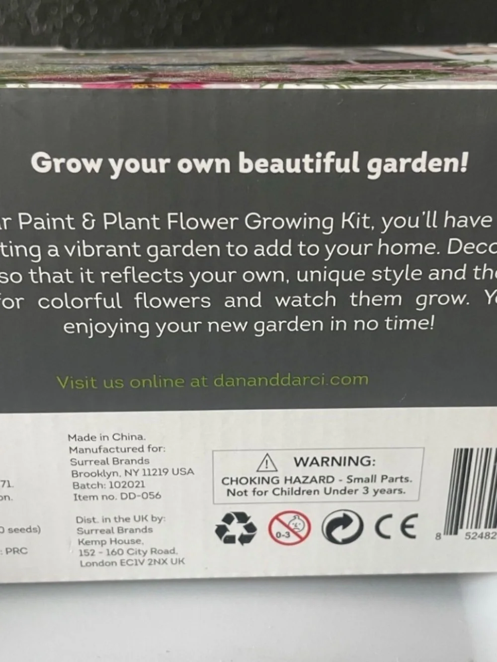 Dan & Darci Paint And Plant Flower Growing Kit, New